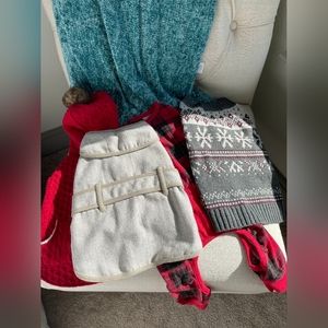 Lot of Medium Dog Apparel